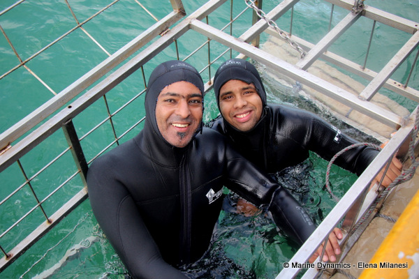 Shark cage diving, South Africa 